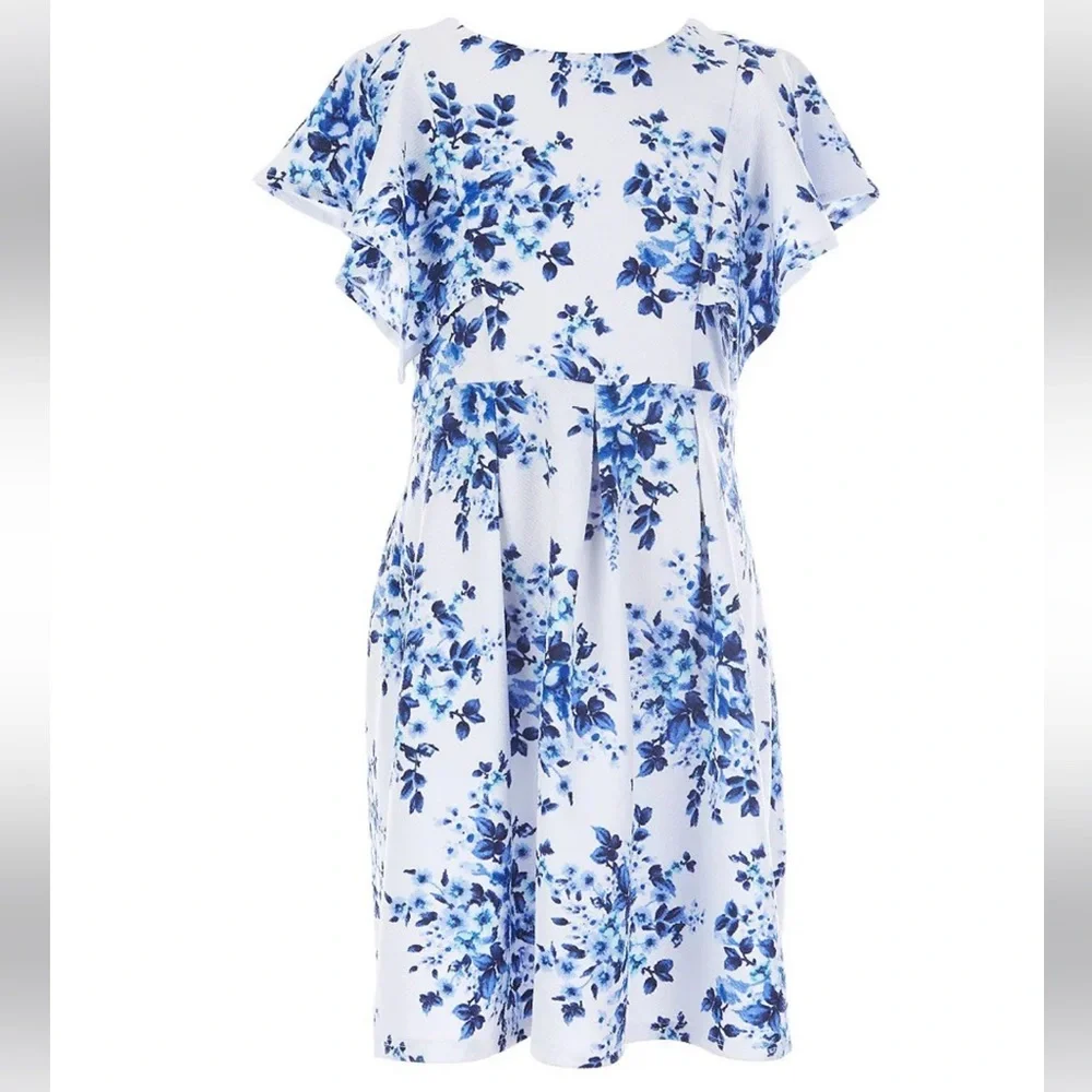 Poppies and Roses Big Girls Sz 14 Ruffle-Sleeve Floral Pleated Fit & Flare Dress - Picture 1 of 4